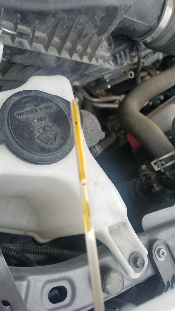 20190311_091714.jpg