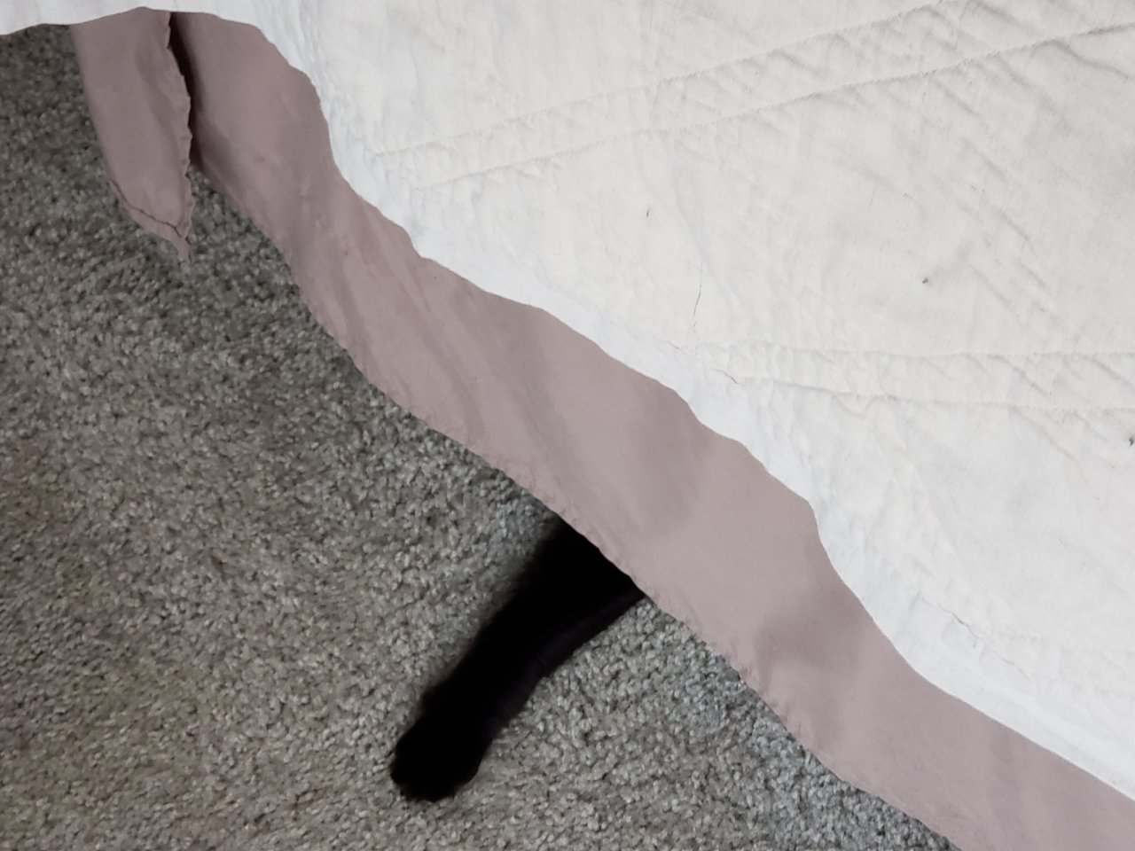 20190311_093805.jpg