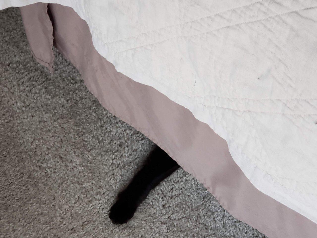 20190311_093805.jpg