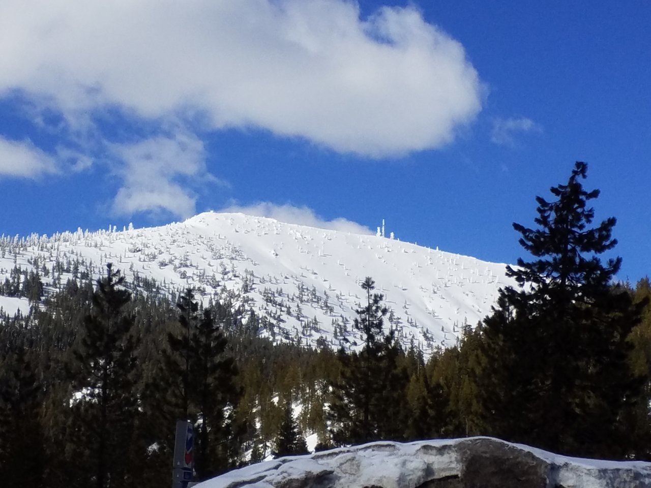 20190311_161739.jpg