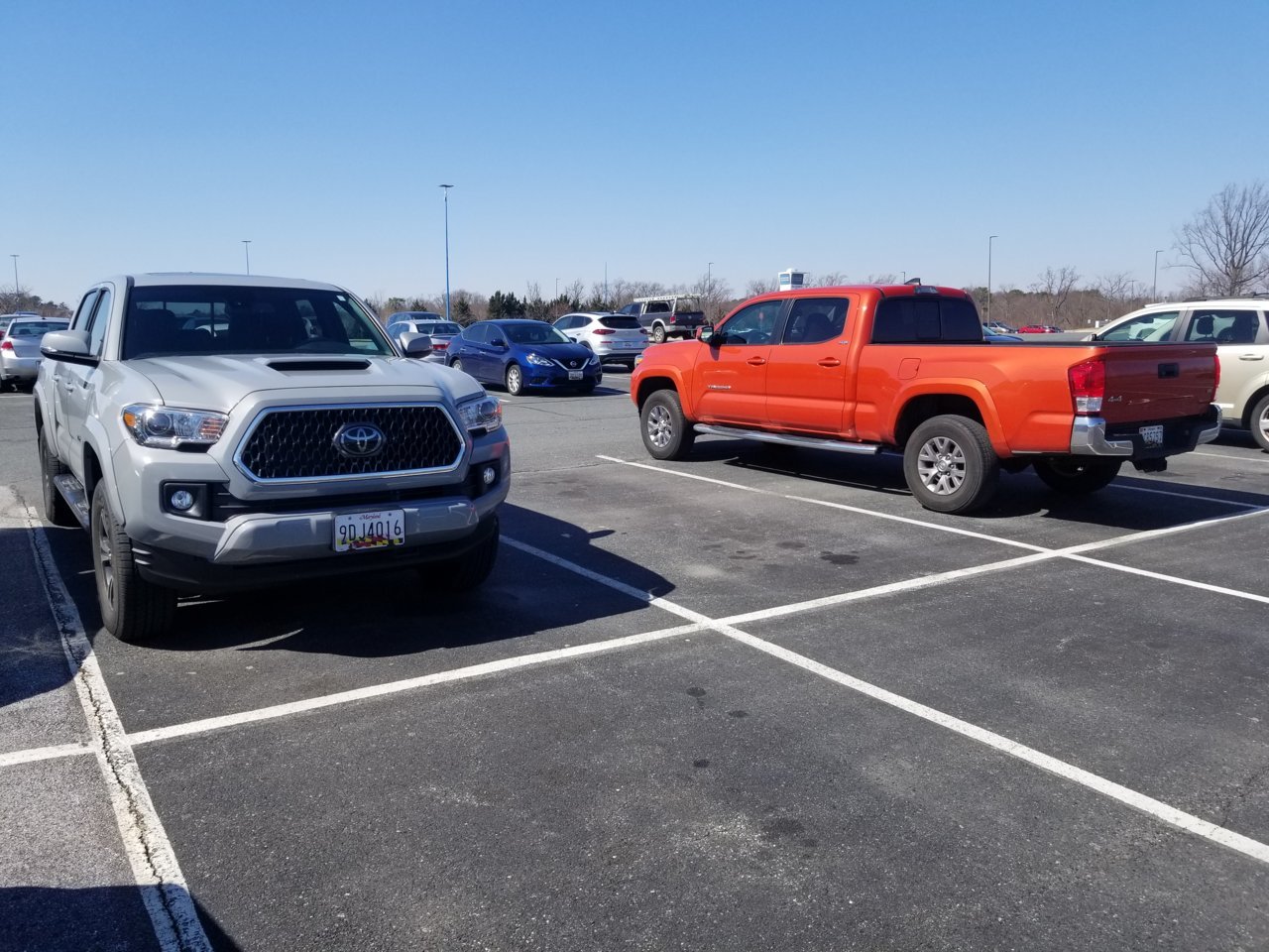 20190312_135441.jpg