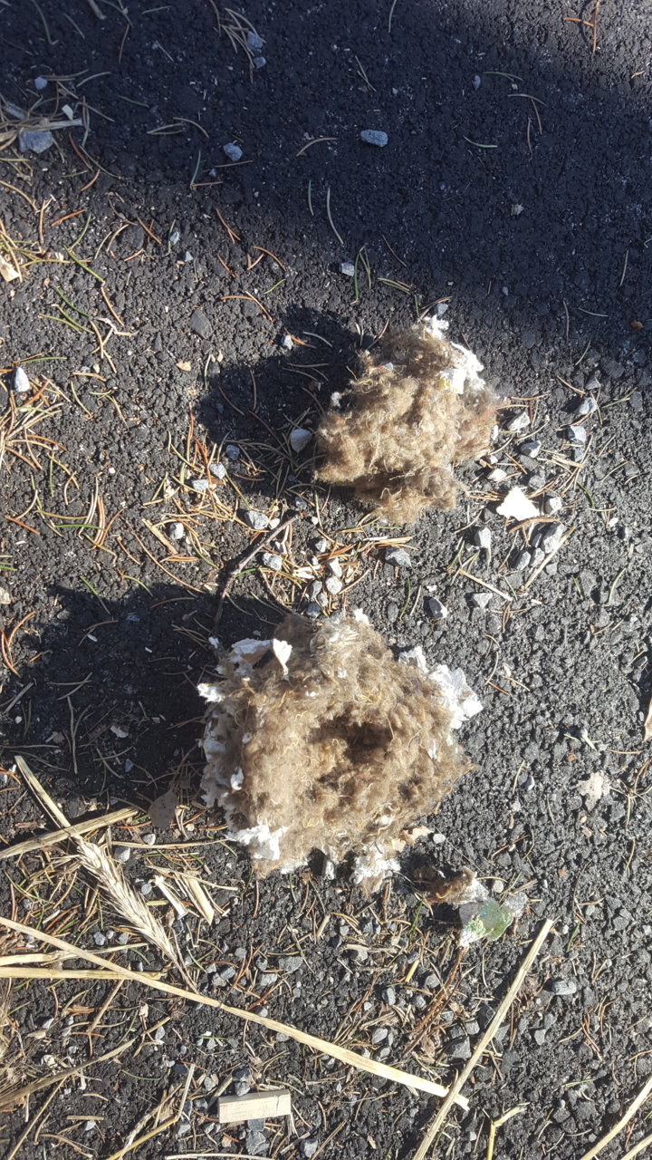 20190312_160058.jpg