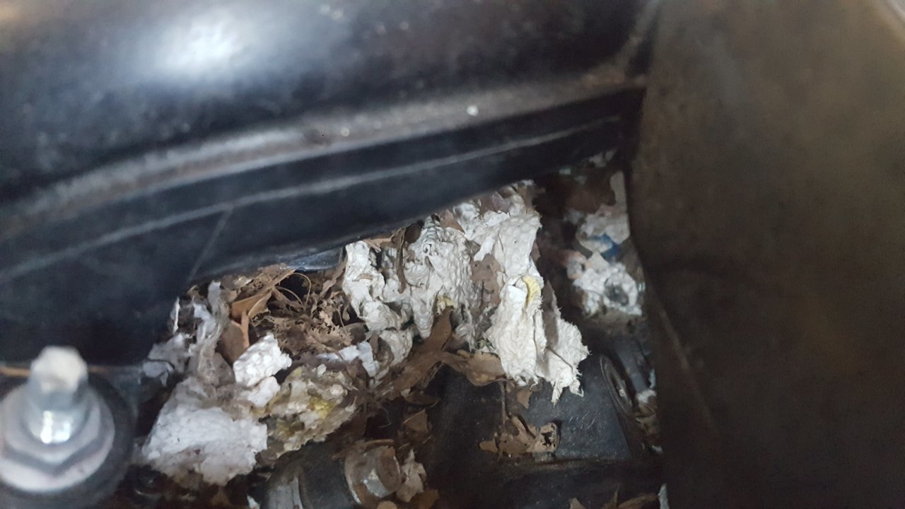 20190312_160106.jpg