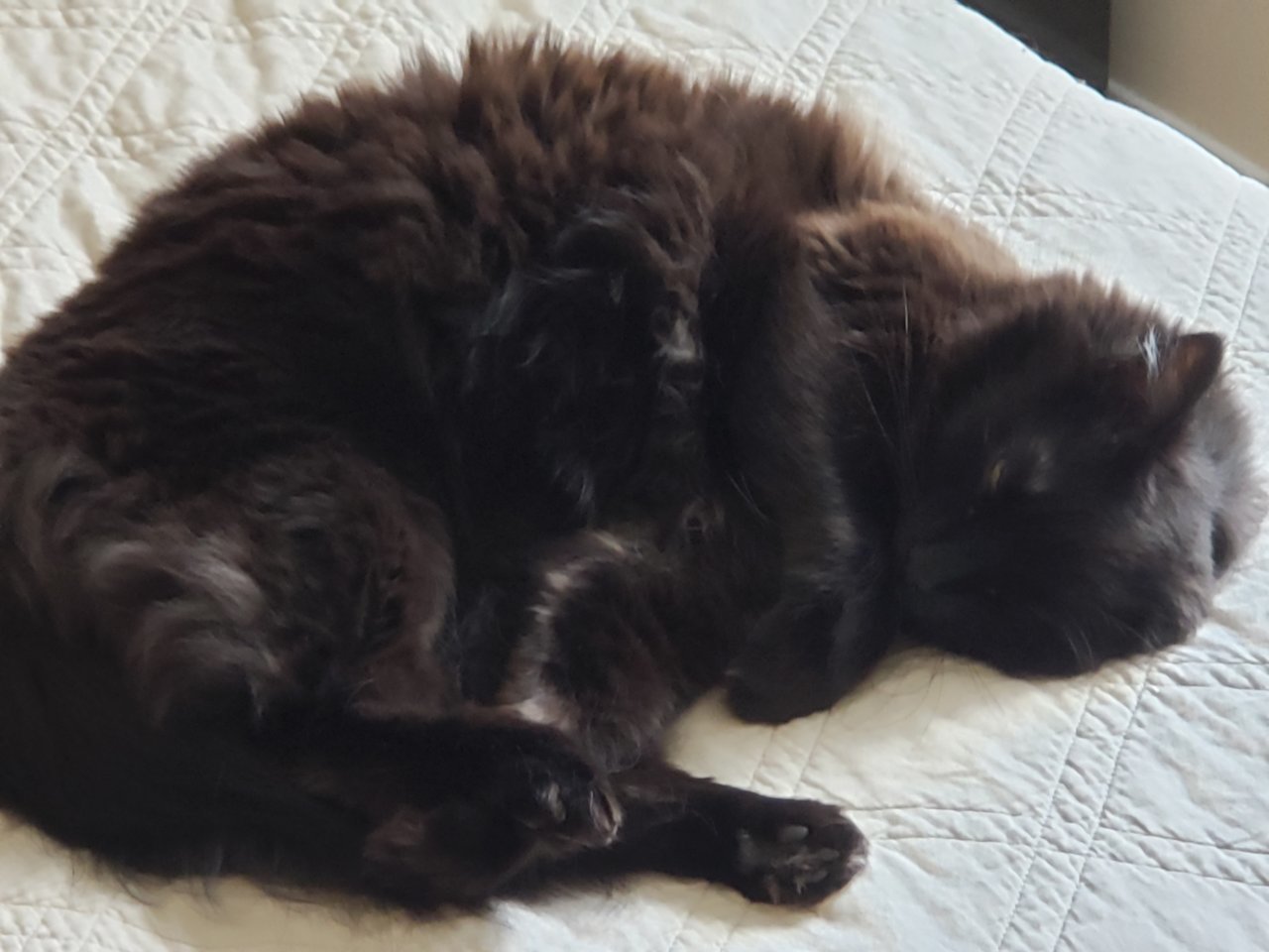 20190312_171959.jpg