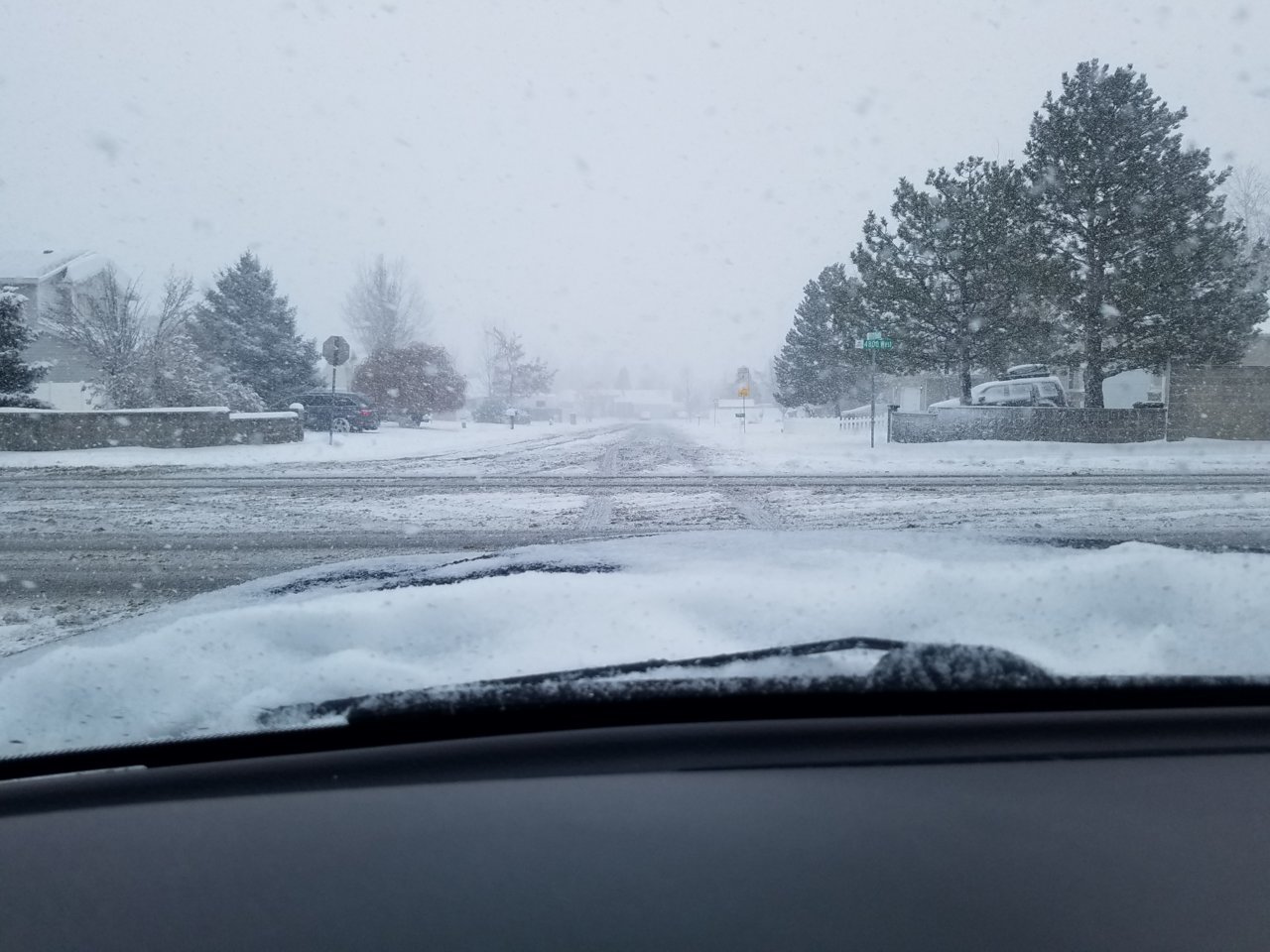 20190313_090118.jpg