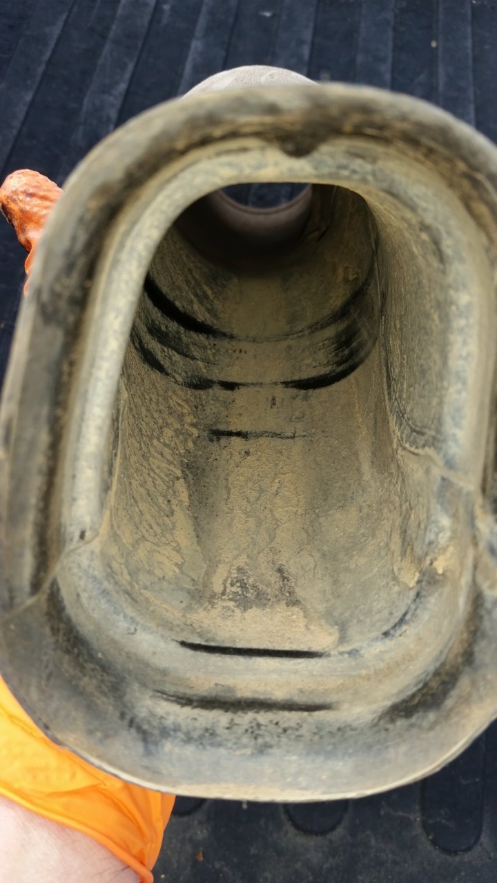 20190313_163527.jpg