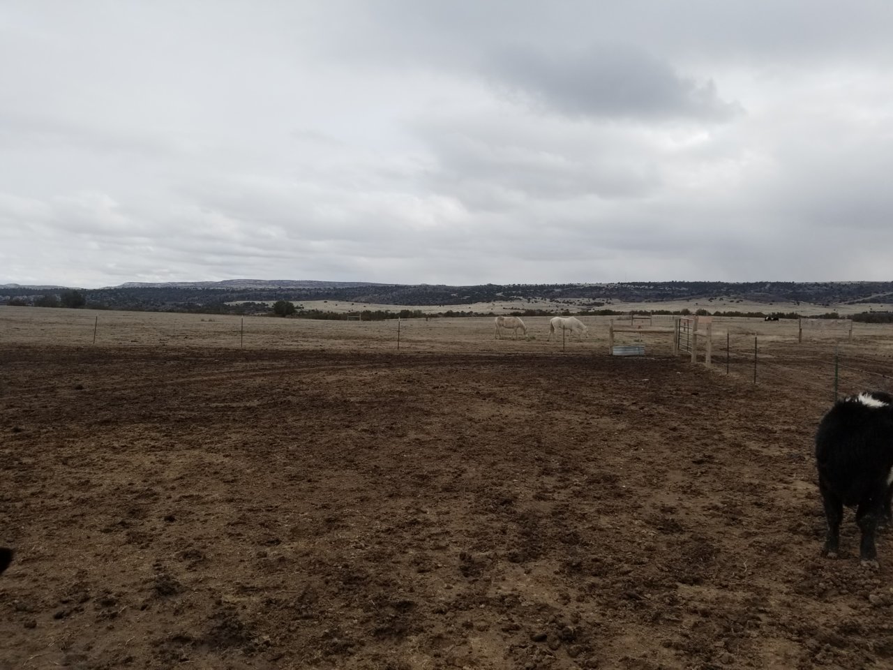 20190314_162309.jpg