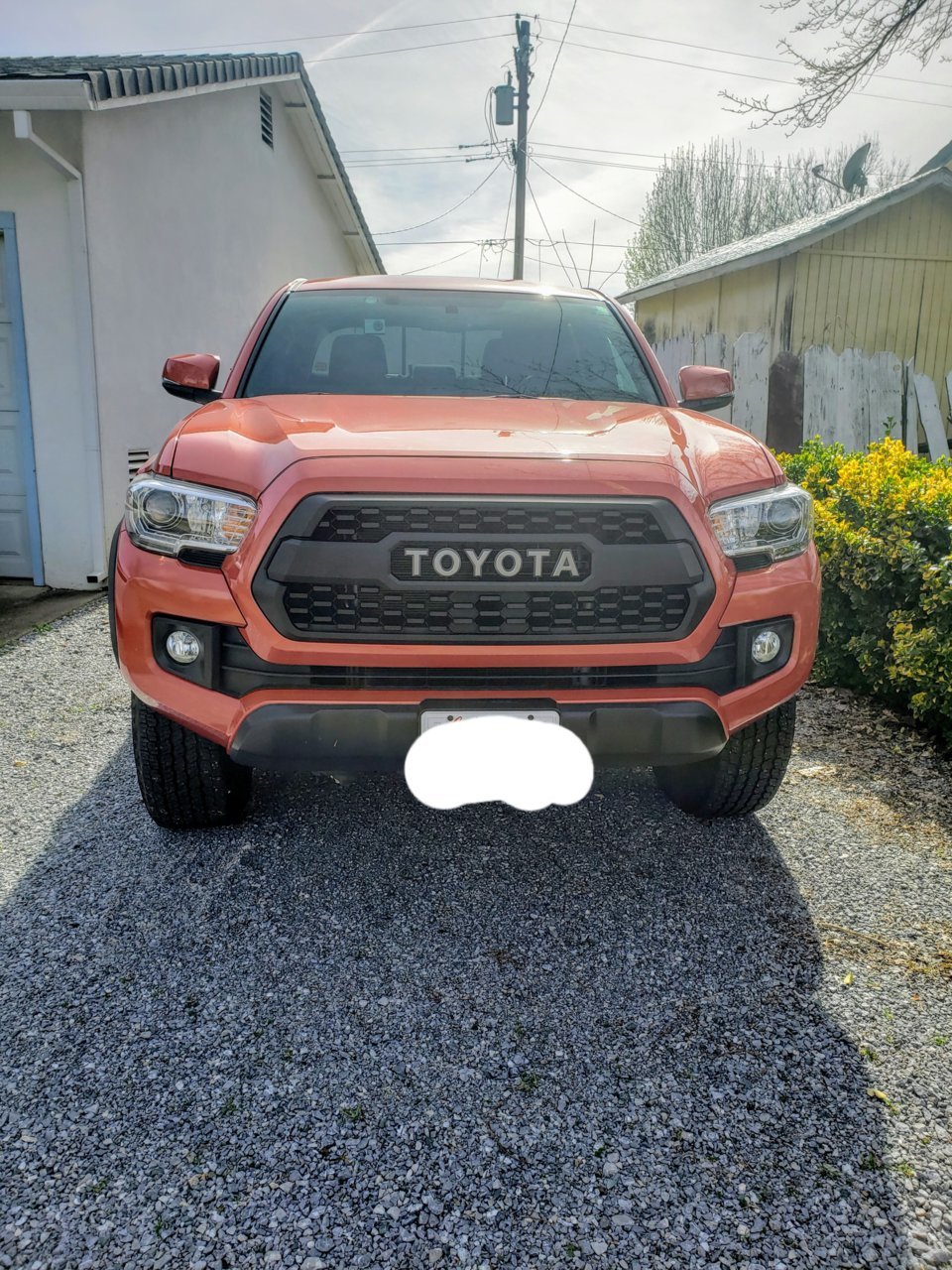 20190314_173241.jpg