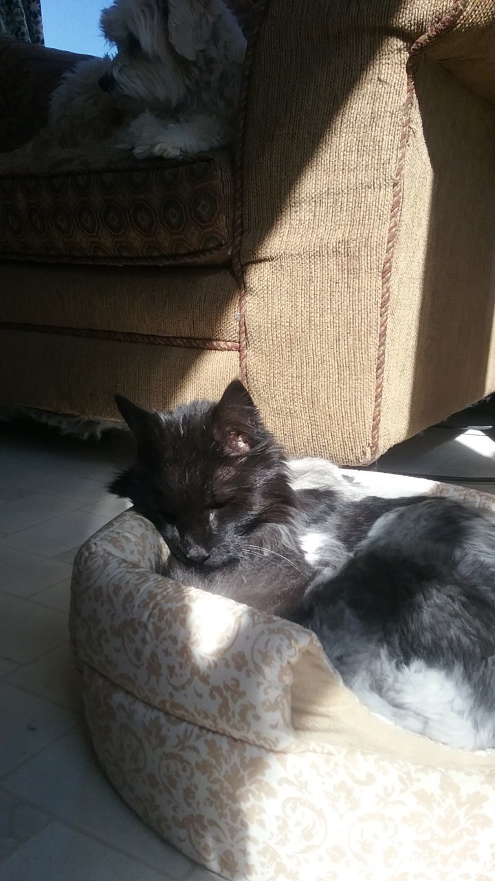 20190315_105912.jpg