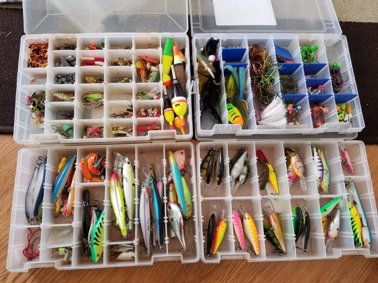 20190315_142700.jpg
