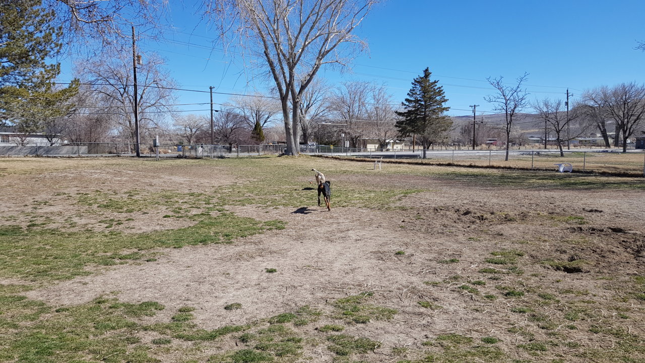 20190315_143300.jpg