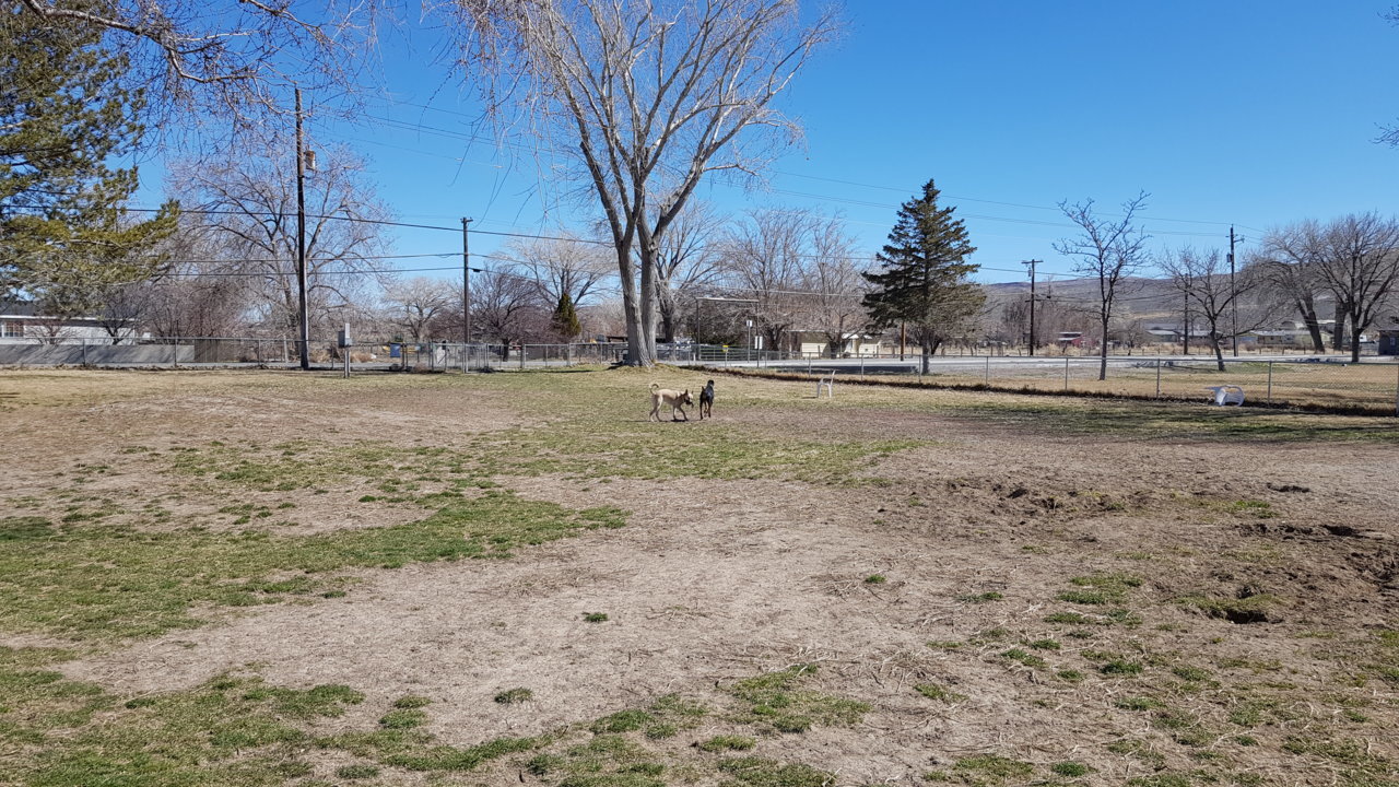 20190315_143302.jpg