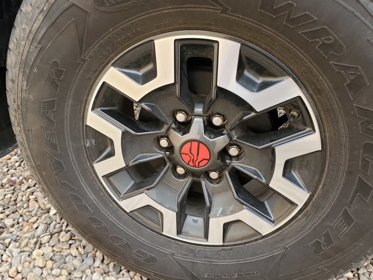 20190315_150958.jpg