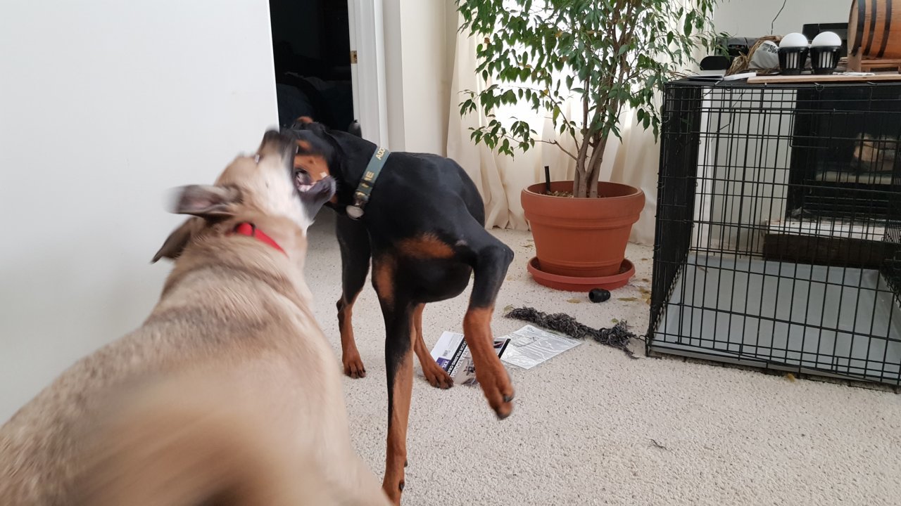 20190315_151900.jpg