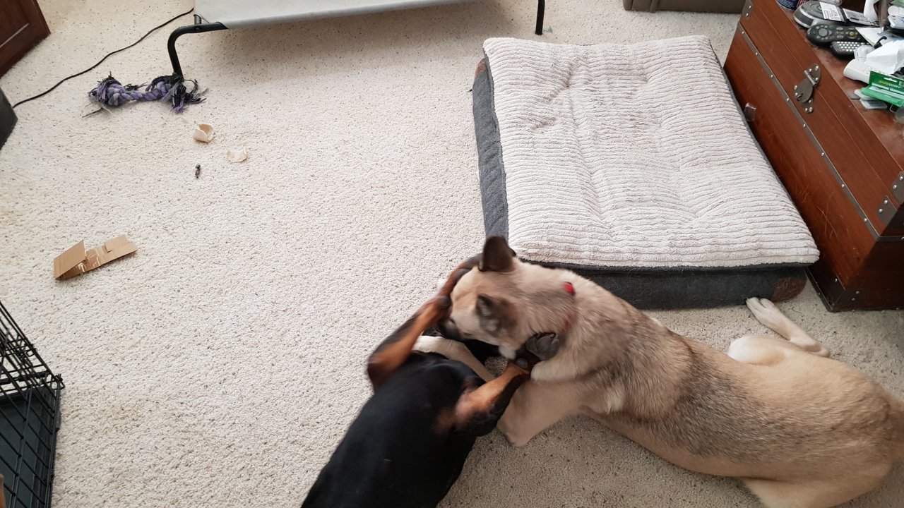20190315_152415.jpg