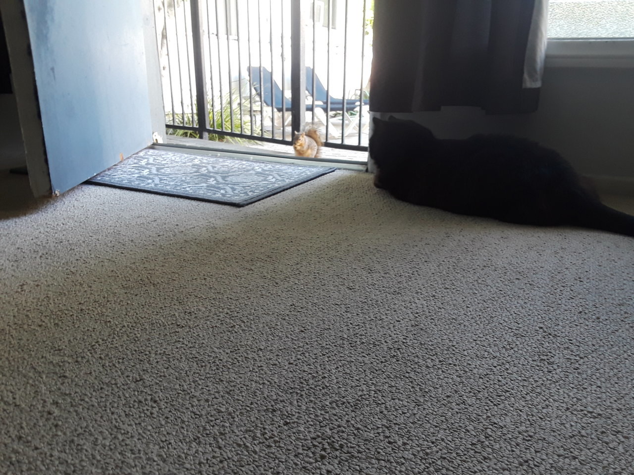 20190316_104620.jpg
