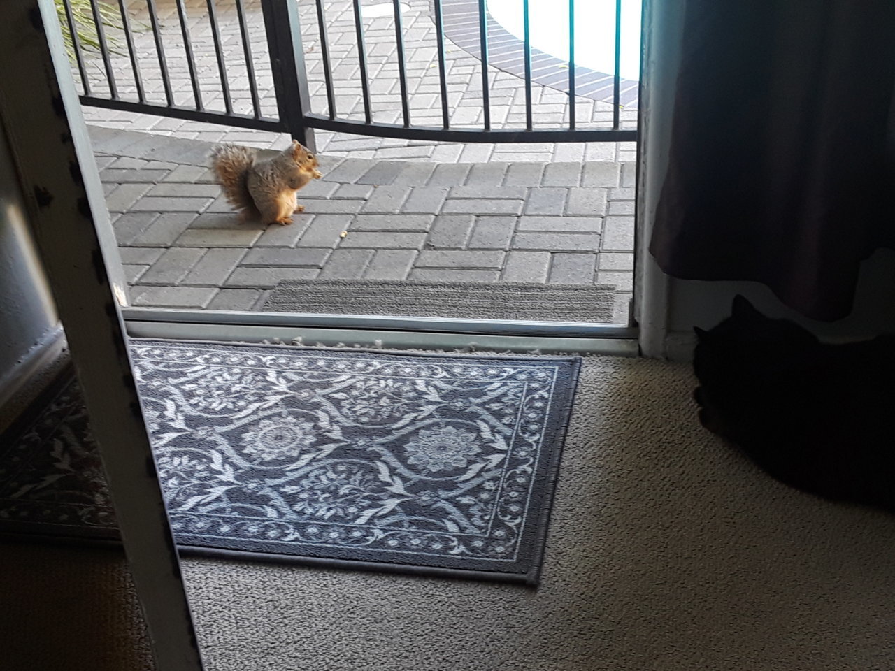 20190316_104917.jpg
