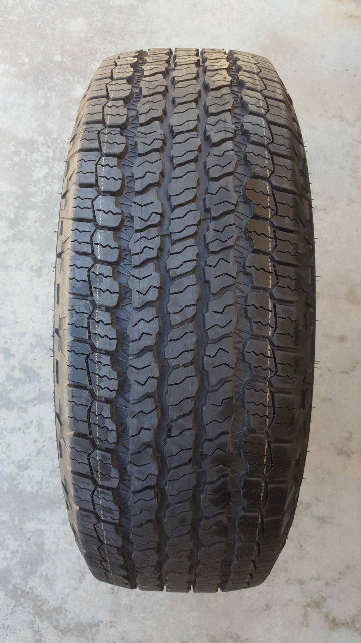 20190316_124816.jpg