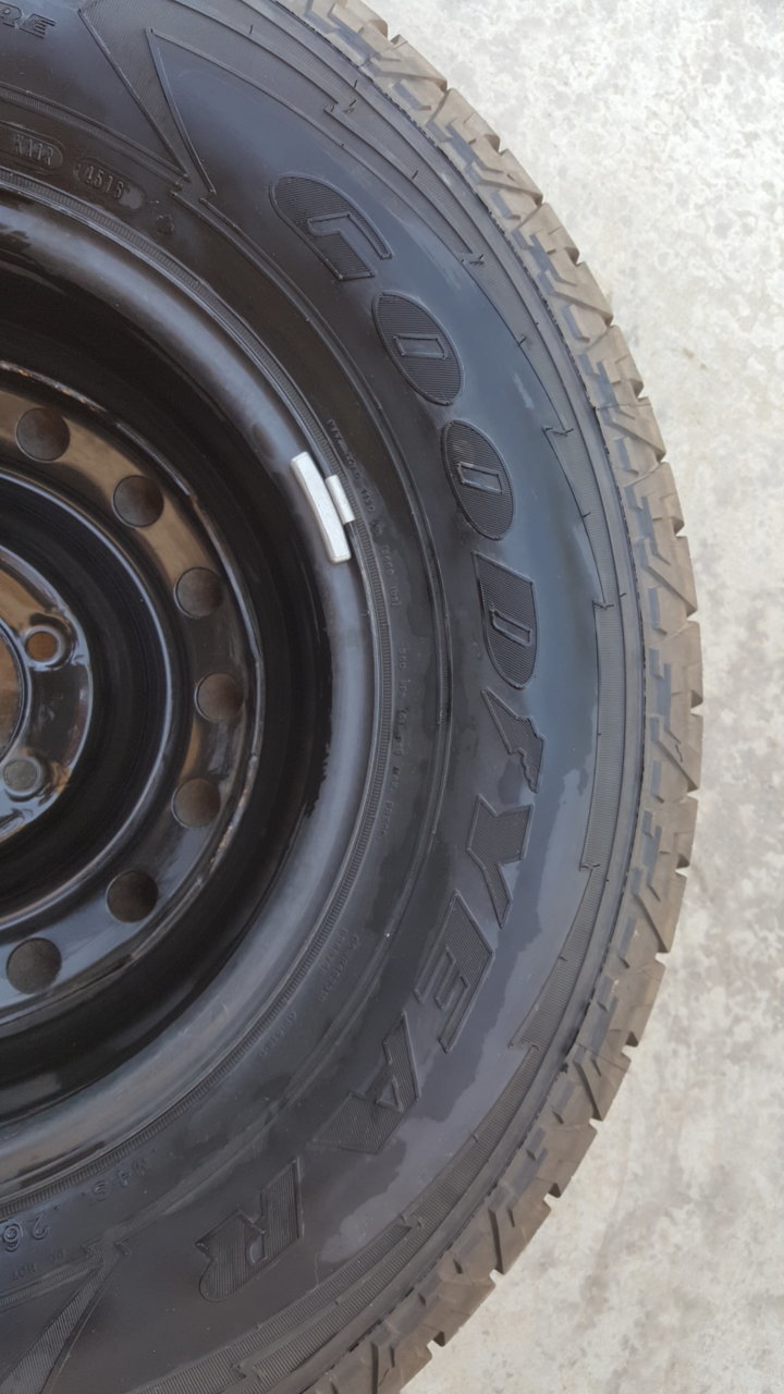 20190316_124935.jpg