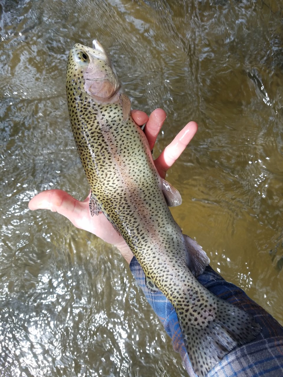 20190316_134723.jpg