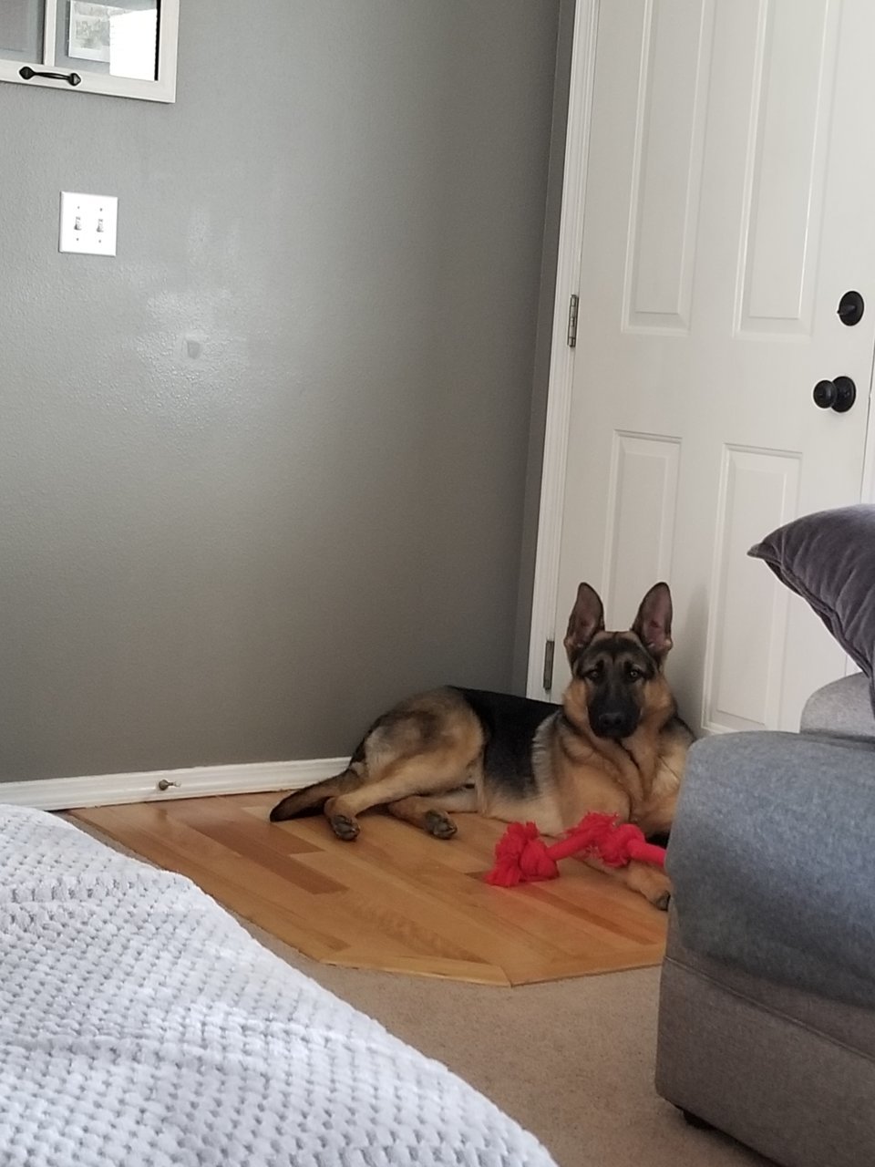 20190316_134935.jpg
