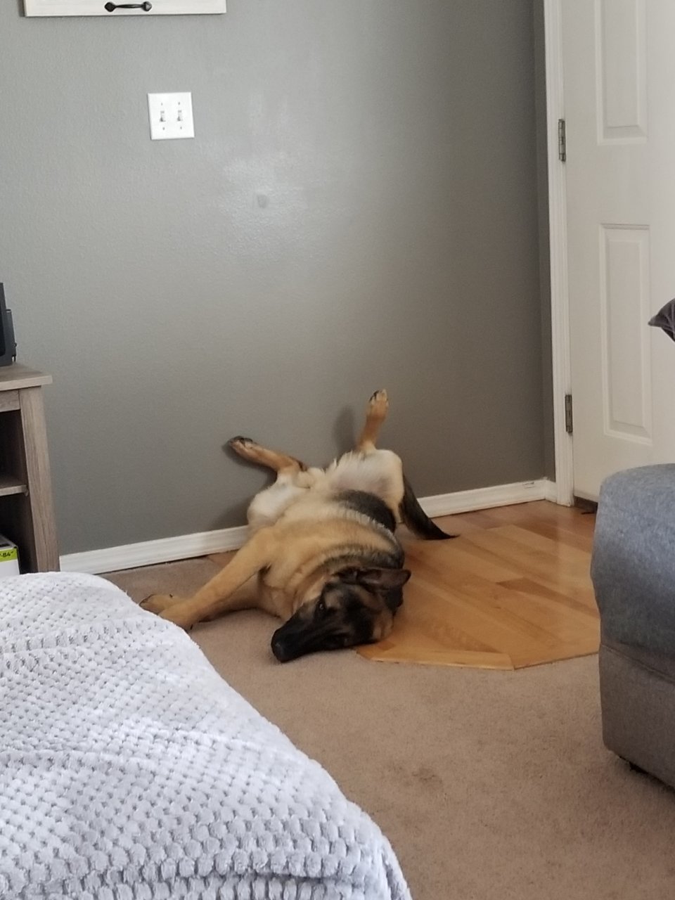 20190316_135645.jpg