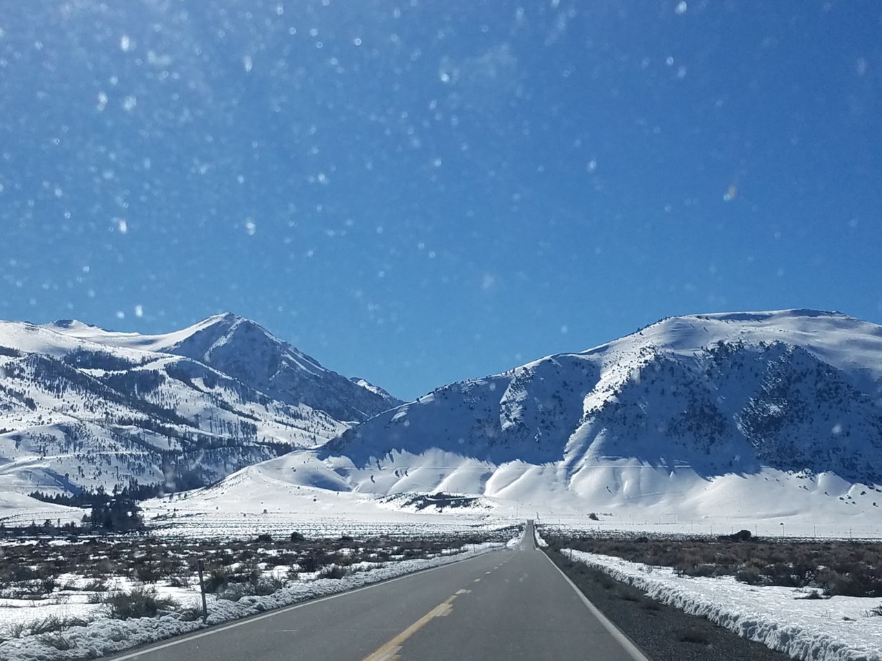 20190316_160752.jpg