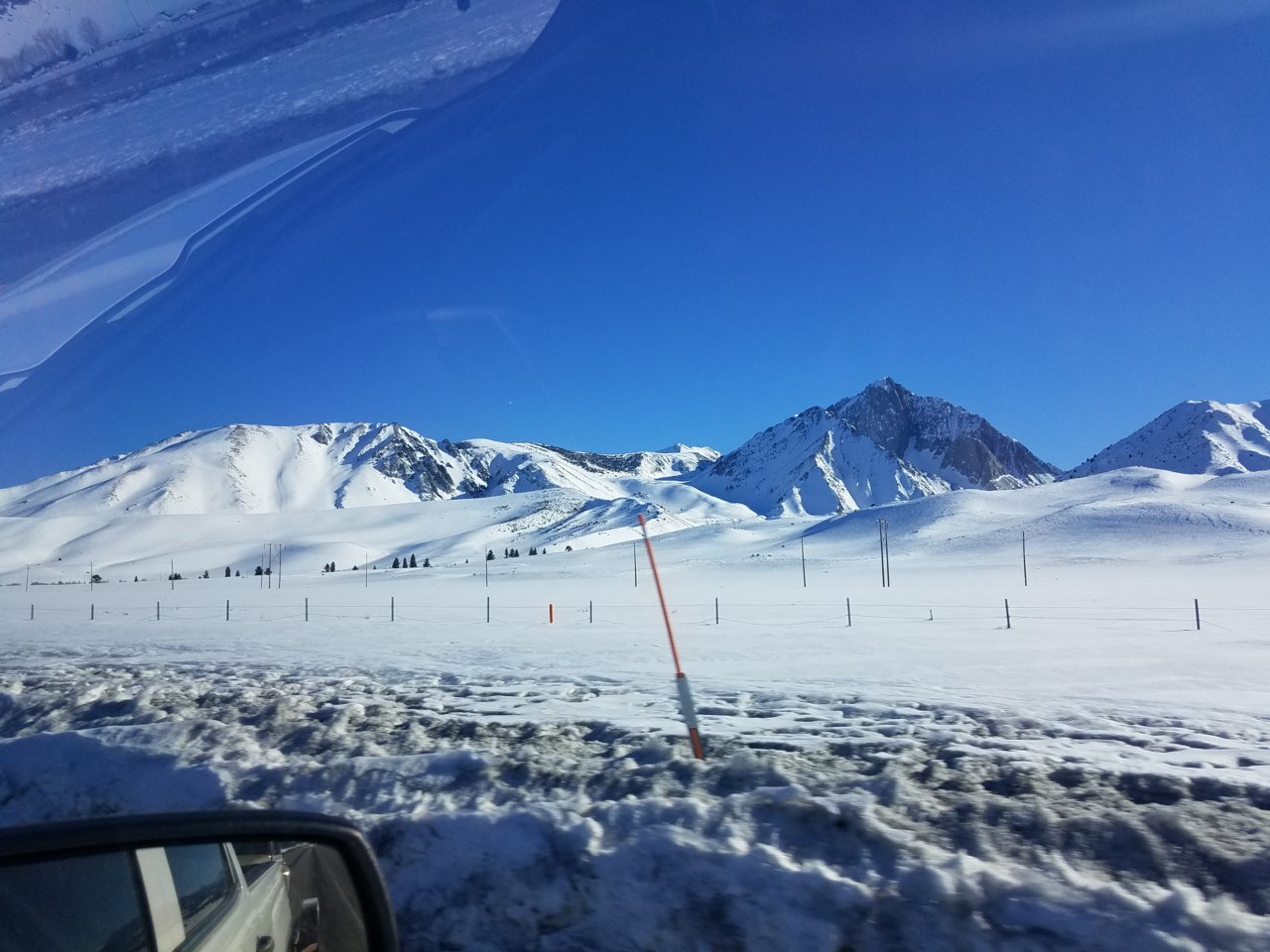 20190316_165229.jpg