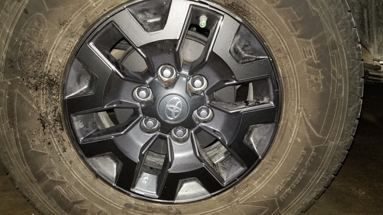 20190316_175907.jpg