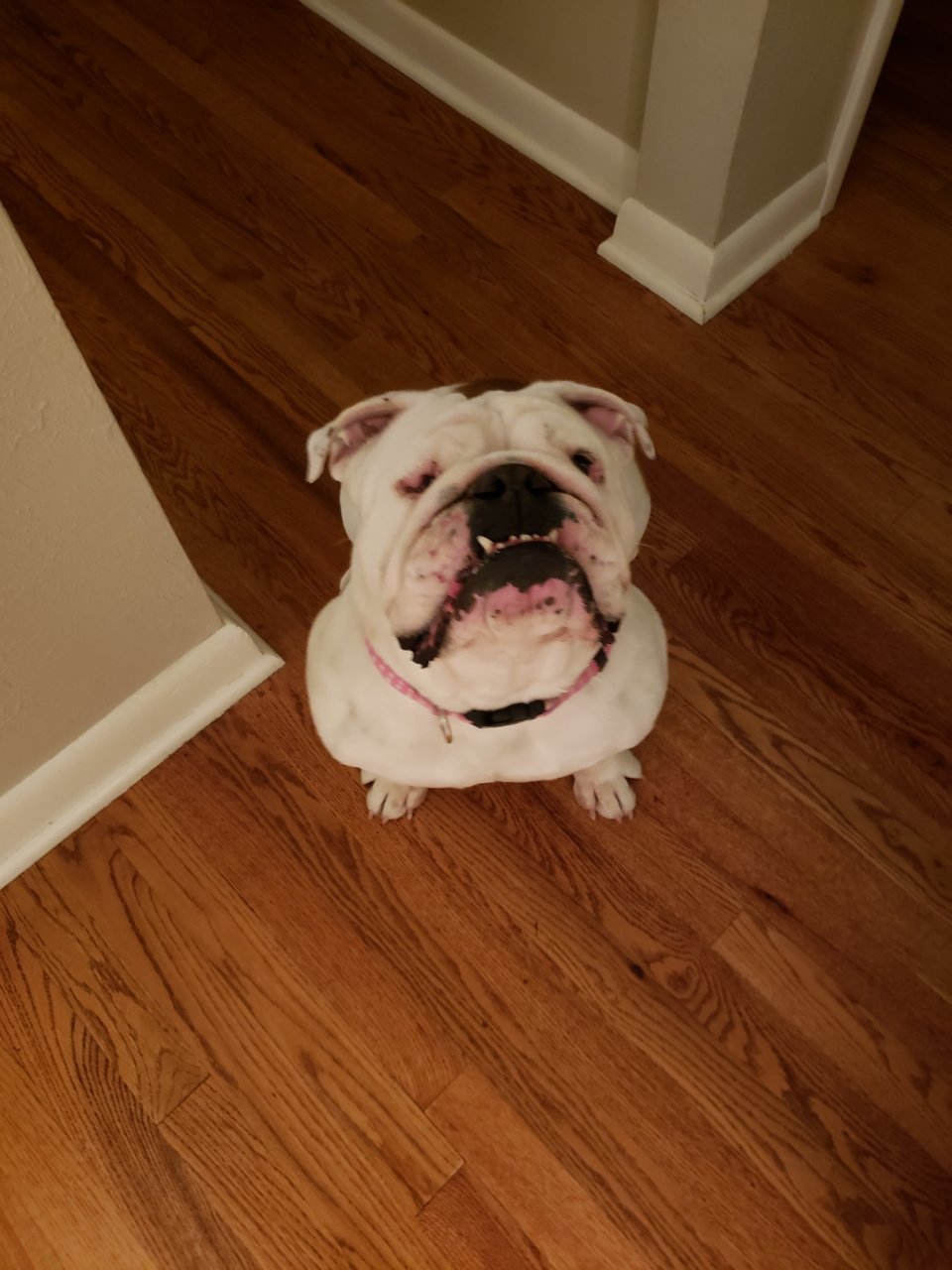 20190316_210912.jpg