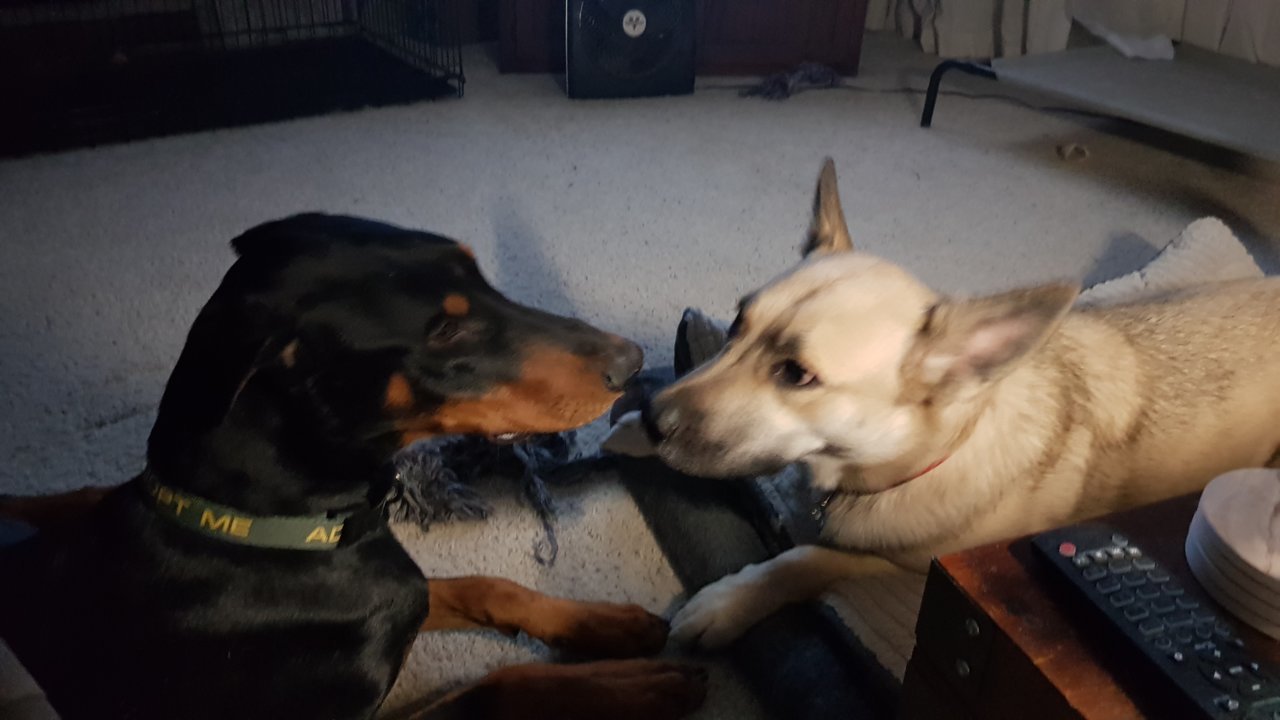 20190317_042317.jpg