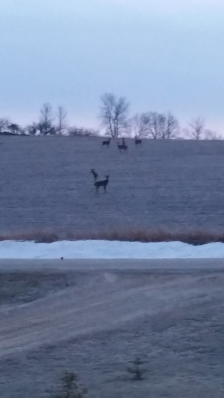 20190317_064828.jpg