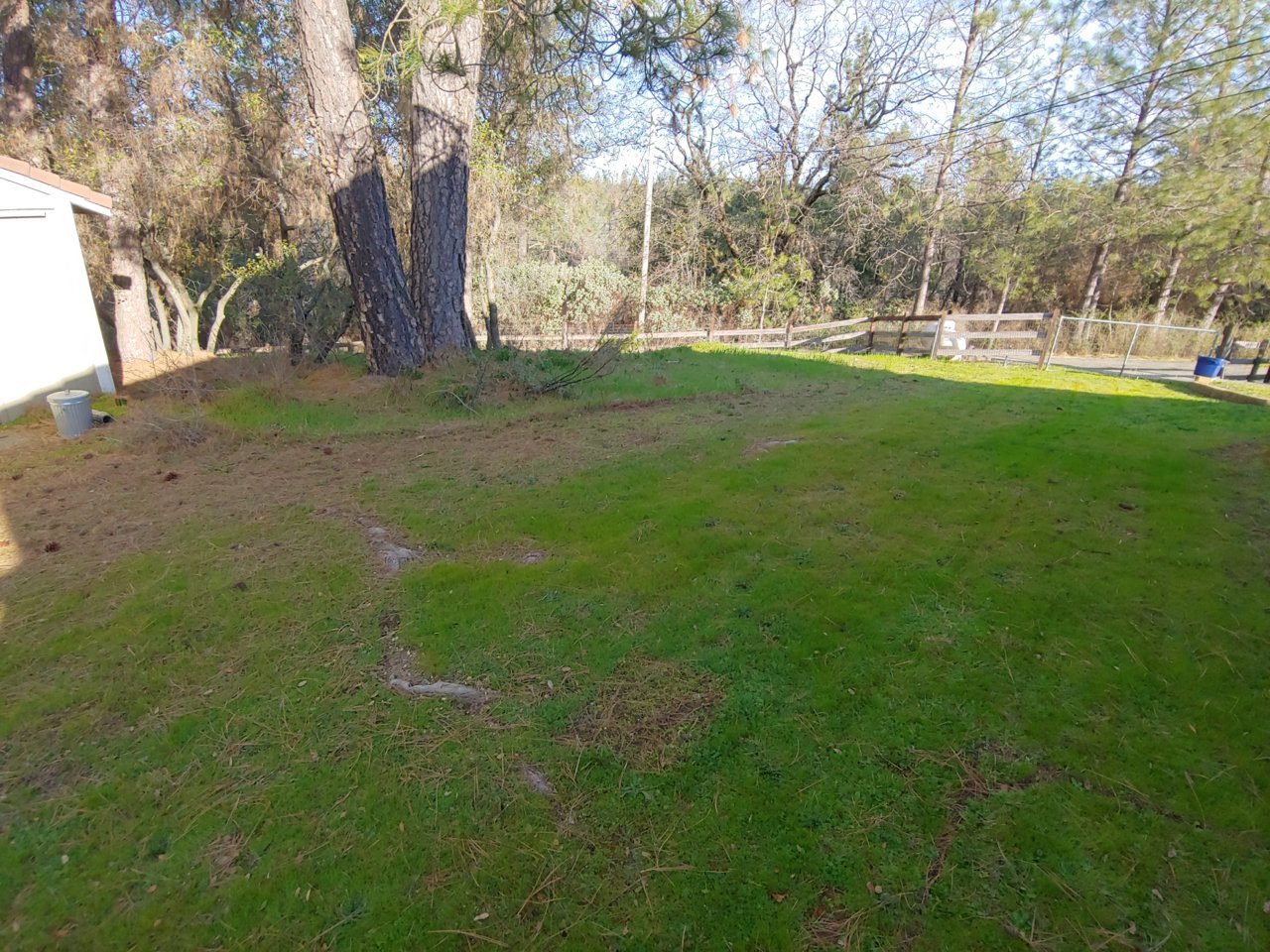 20190317_090442_HDR.jpg