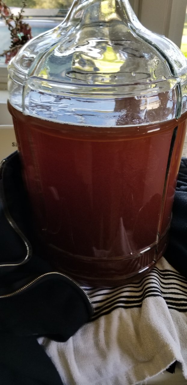 20190317_094808.jpg