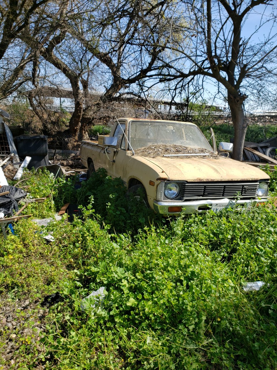 20190317_114319.jpg