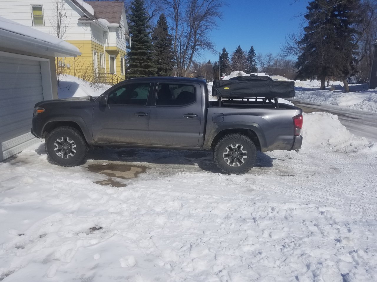 20190317_123239.jpg
