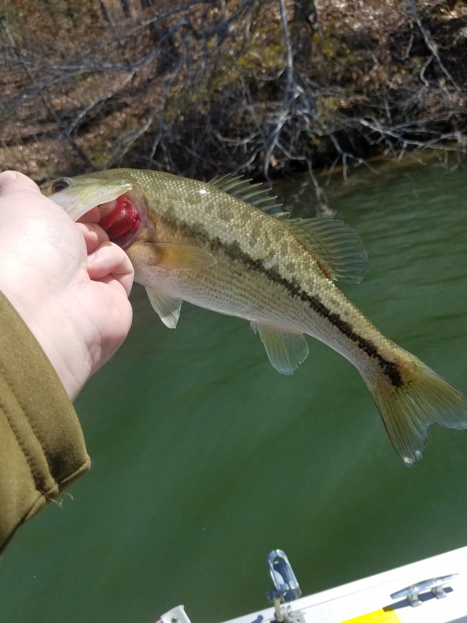 20190317_135134.jpg
