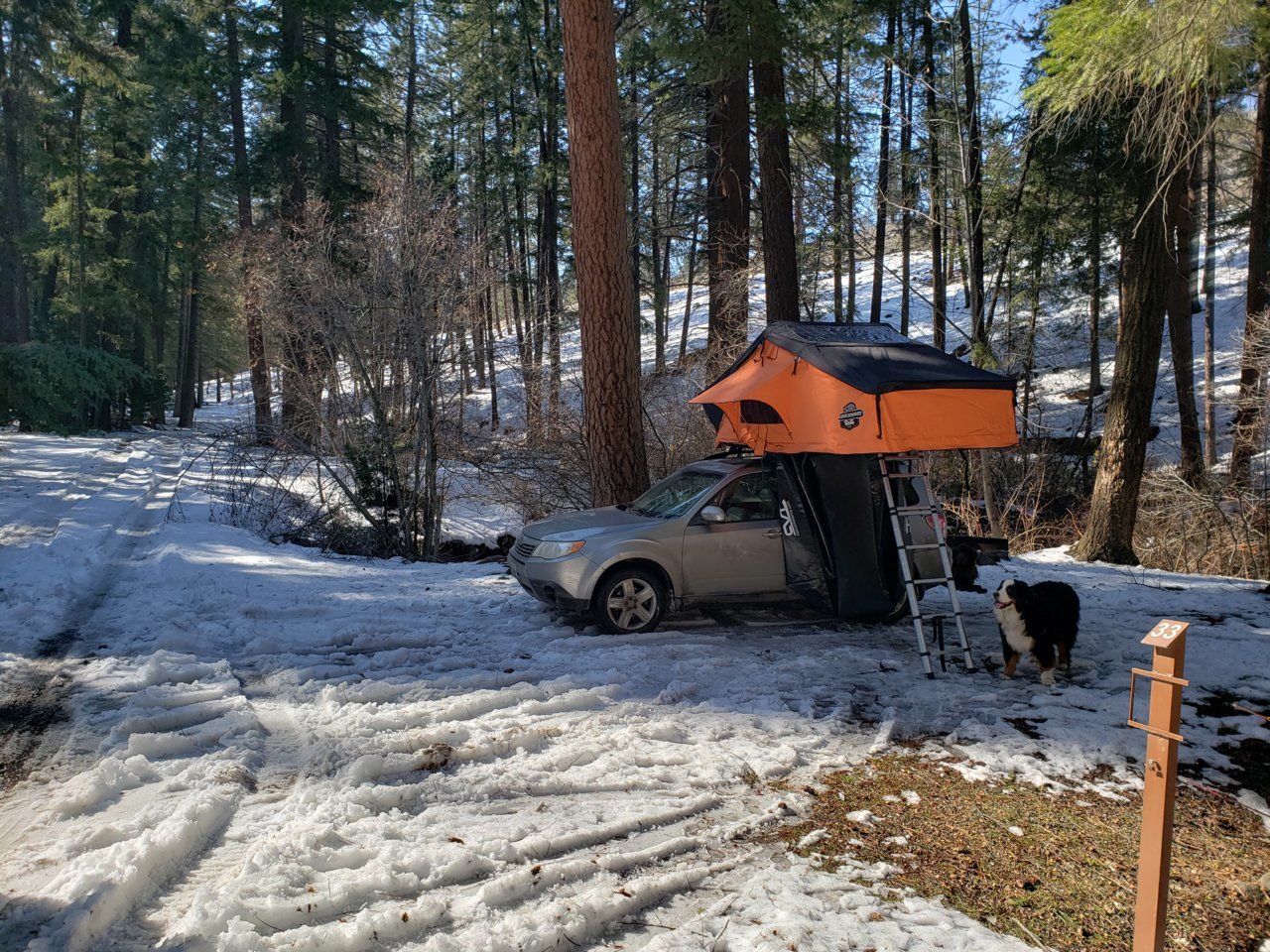 20190317_151313.jpg