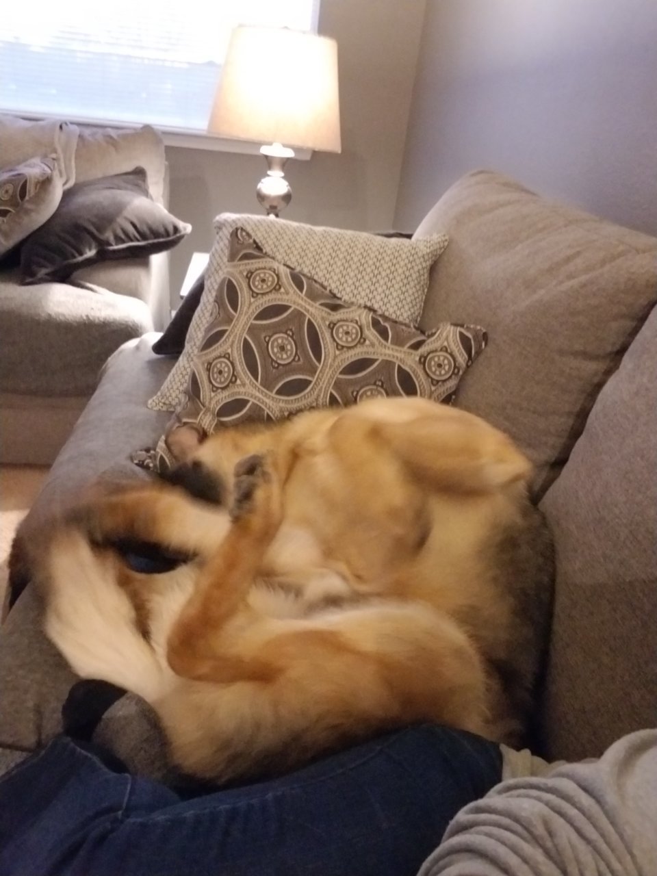 20190317_200752.jpg