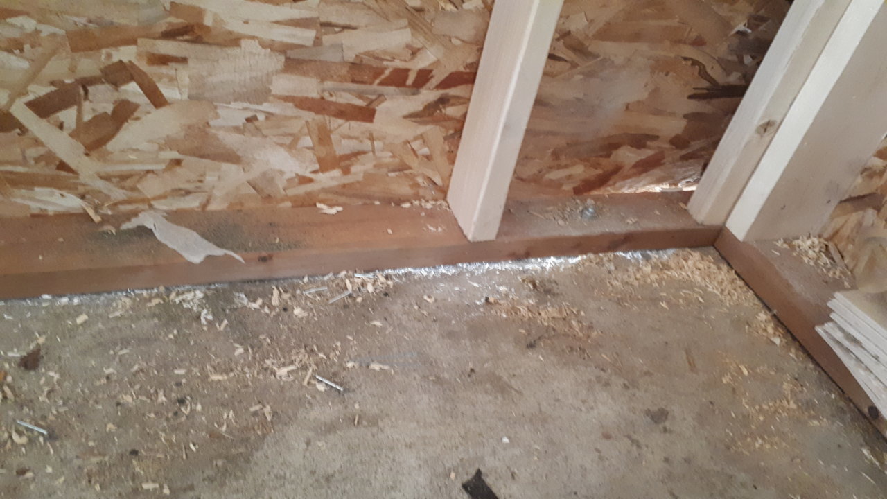 20190318_135515.jpg
