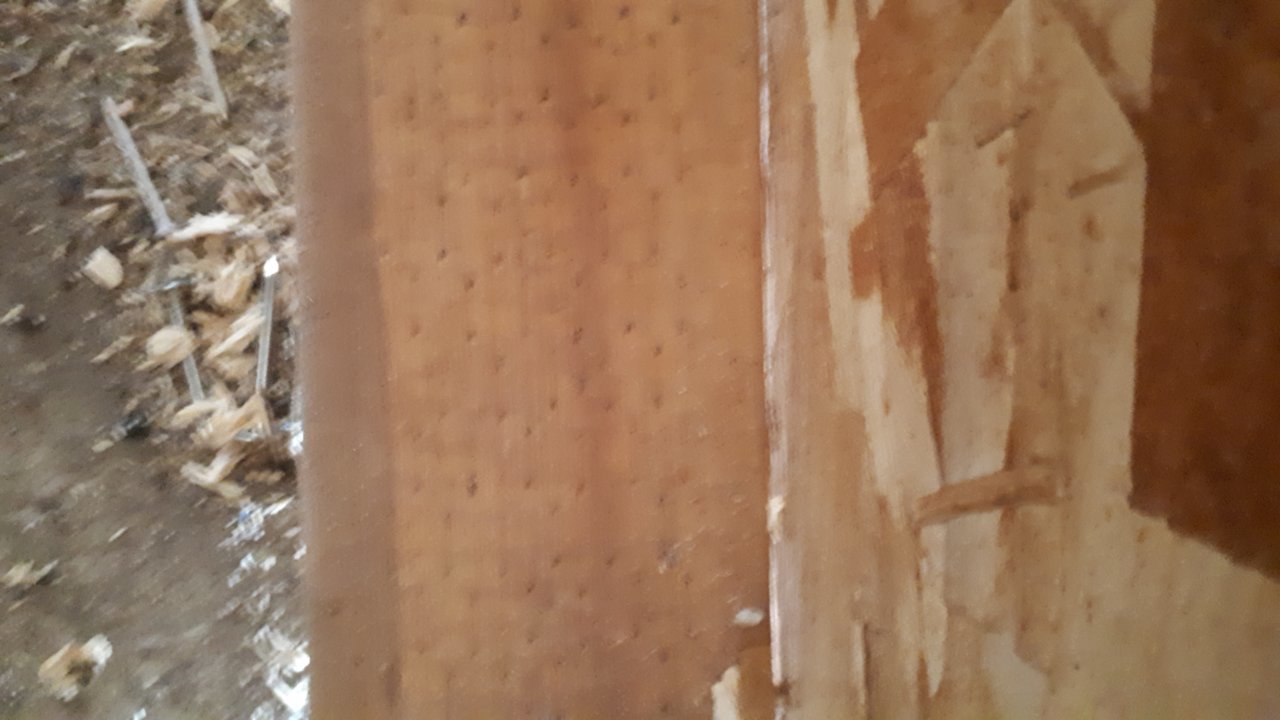 20190318_135959.jpg