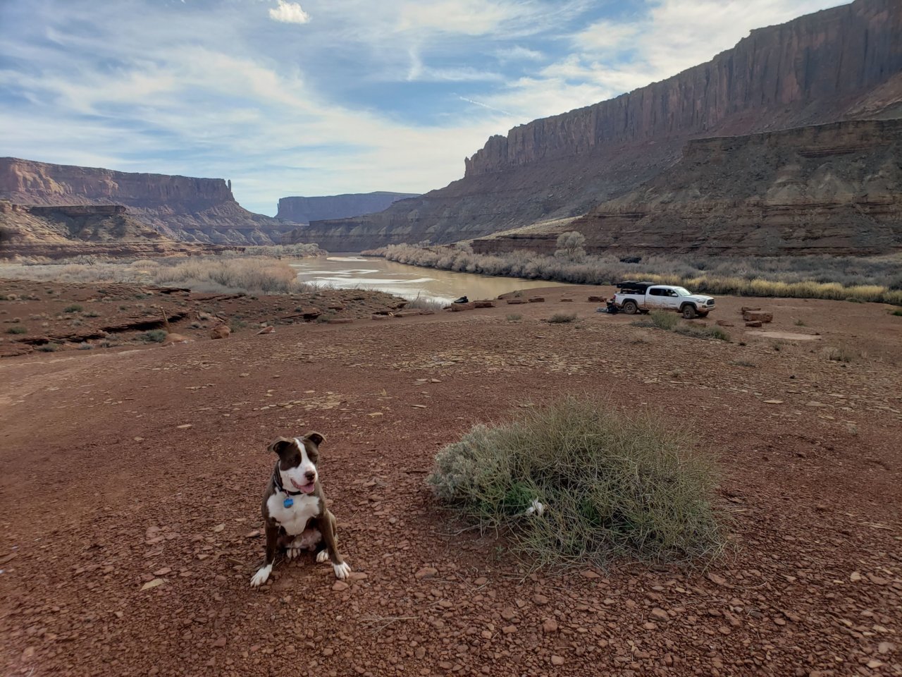 20190318_154247.jpg