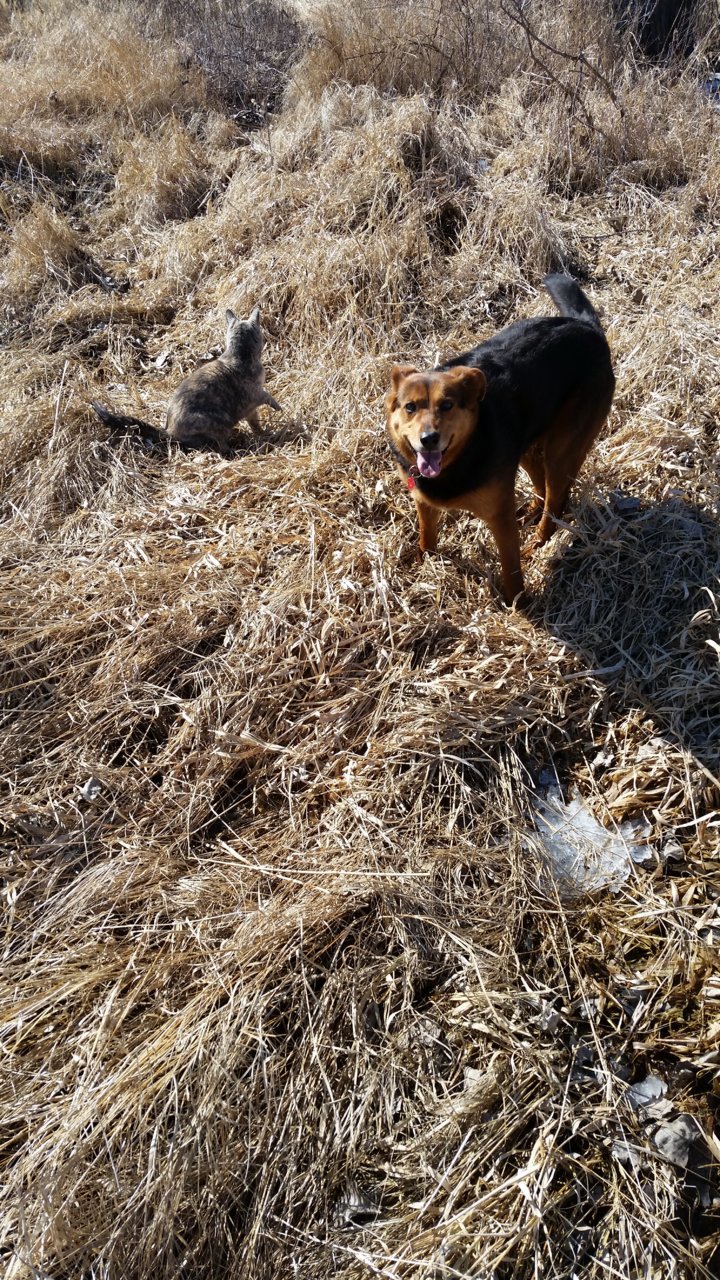 20190319_111153.jpg