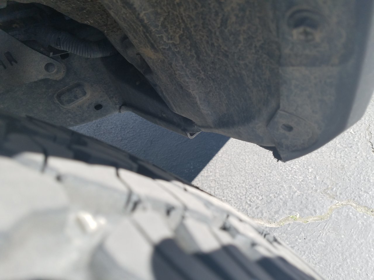 20190319_120427.jpg