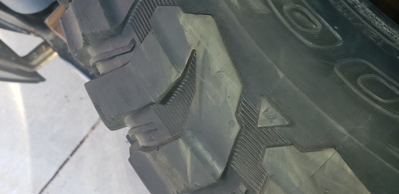 20190320_091943.jpg