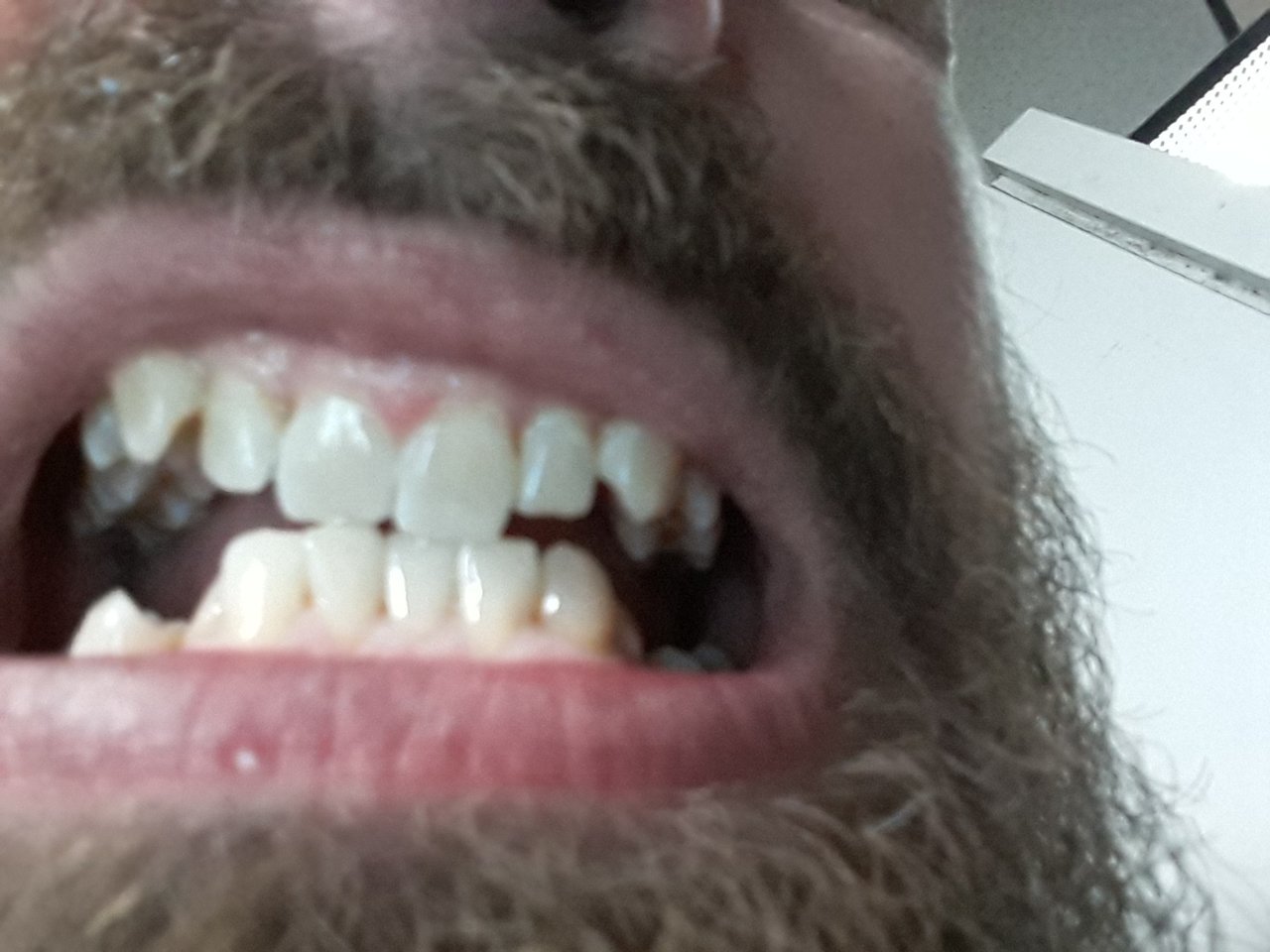20190320_124202.jpg