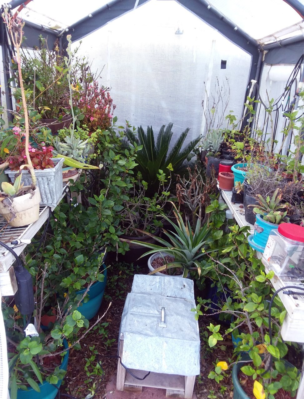 20190320_152352.jpg