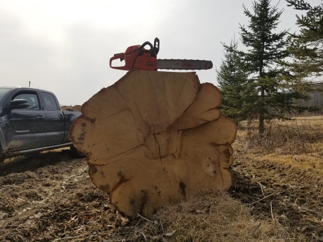 20190320_155607.jpg