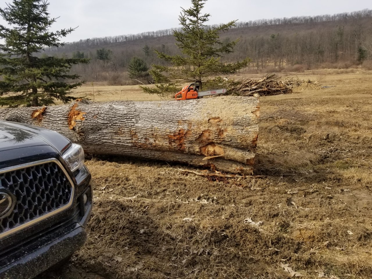 20190320_155638.jpg