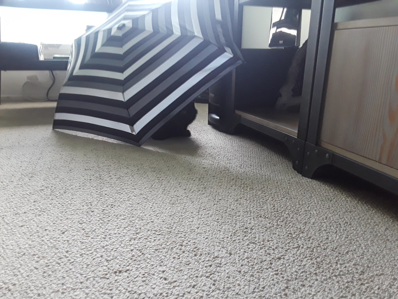 20190320_165329.jpg